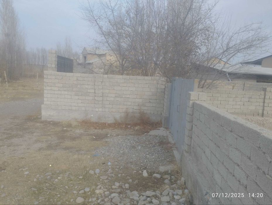 Янгийўл тумани Тинчликда 12 соток уй сотилади М39 гача 1 километр