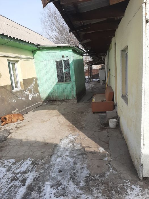 Продам дом и 3 времянки