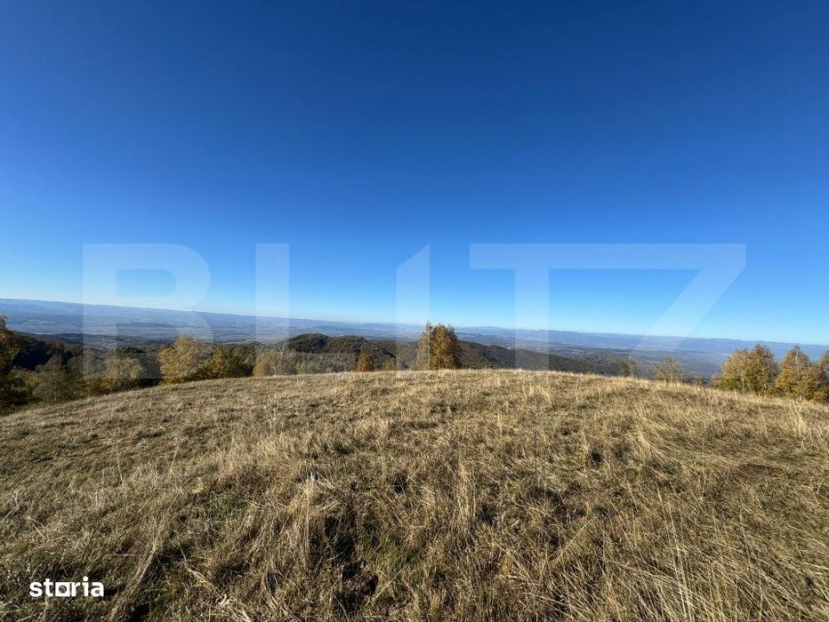 Teren extravilan 54.722 mp in Tarsa
