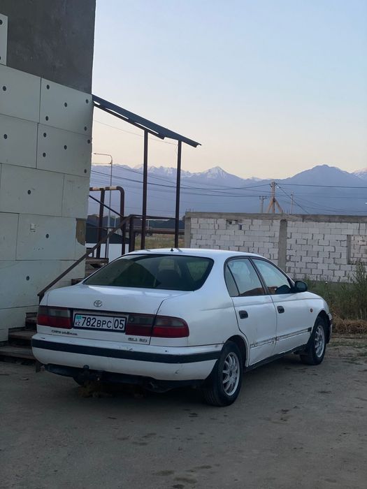 Карина е продам 1993