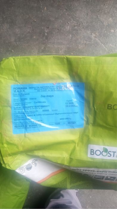 Samanta Floare si porumb 2026