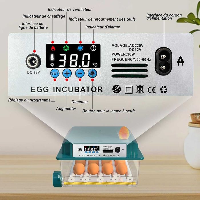 CoInceptus инкубатор 12–16 яйца – автоматично обръщане и влага