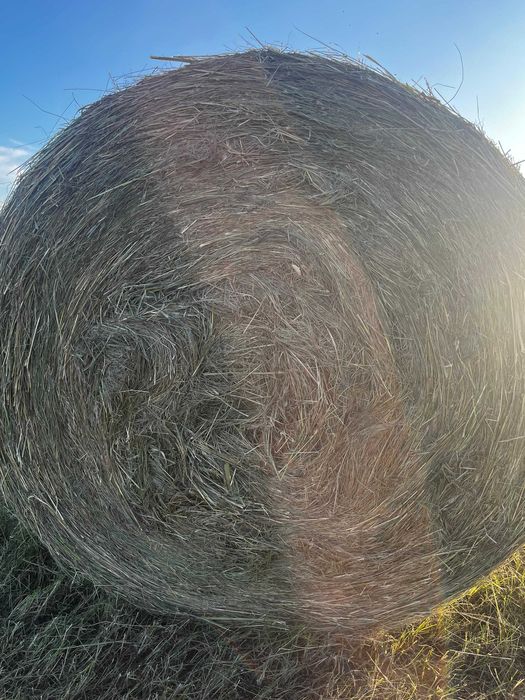 Продам сено в тюках