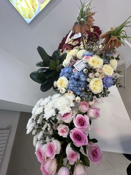 Цветы красивые новые