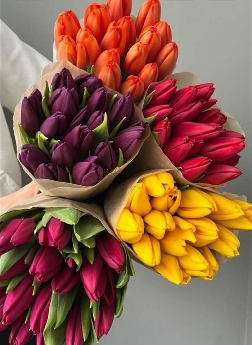 Тюльпаны по 700.