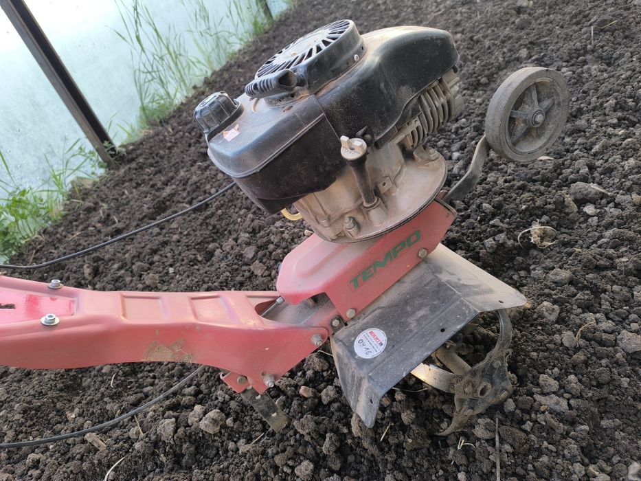 Motosapa Tempo nu Pascuali sau lombardini