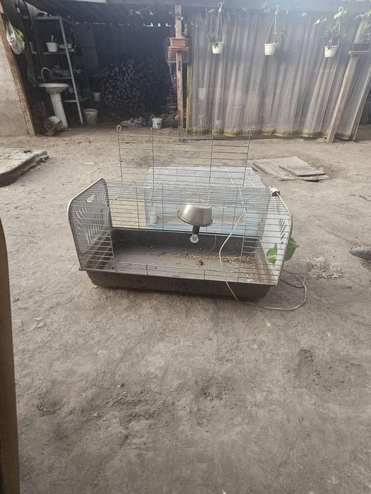 Клетка продам срочно