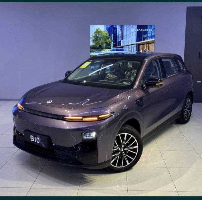 Leapmotor b10 510km