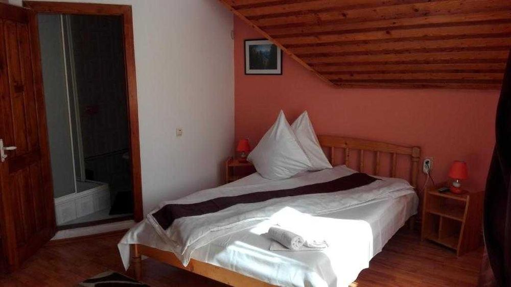 Afacere la cheie - De Închiriat Pensiune cu potențial excelent în Bran