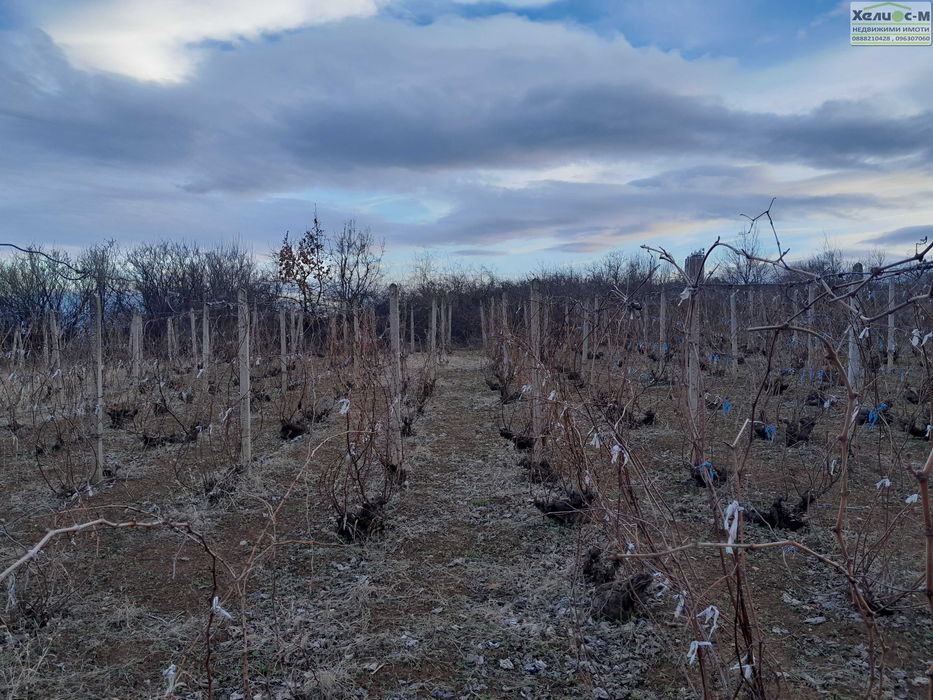 Парцел зад бензиностанция ПЕТРОЛ, гр.Монтана, вилнз зона ПАРТА