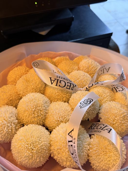 Цветы свежие  за 20к