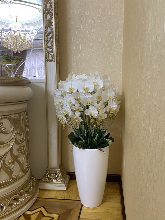 Dekorativ  oq orxideya guli