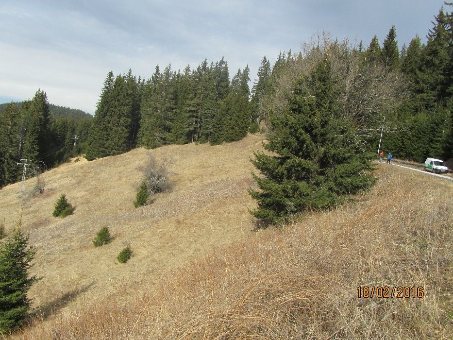 Продава се Парцел в к.к. Пампорово - 4550 кв.м за 49 €/кв.м - Снимка #2