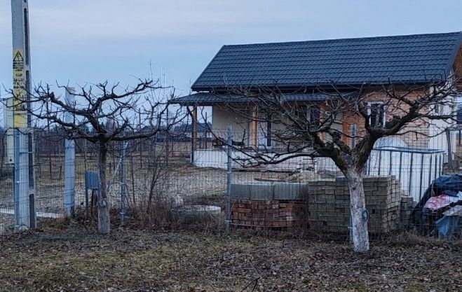 Curățare de copaci și viță de vie