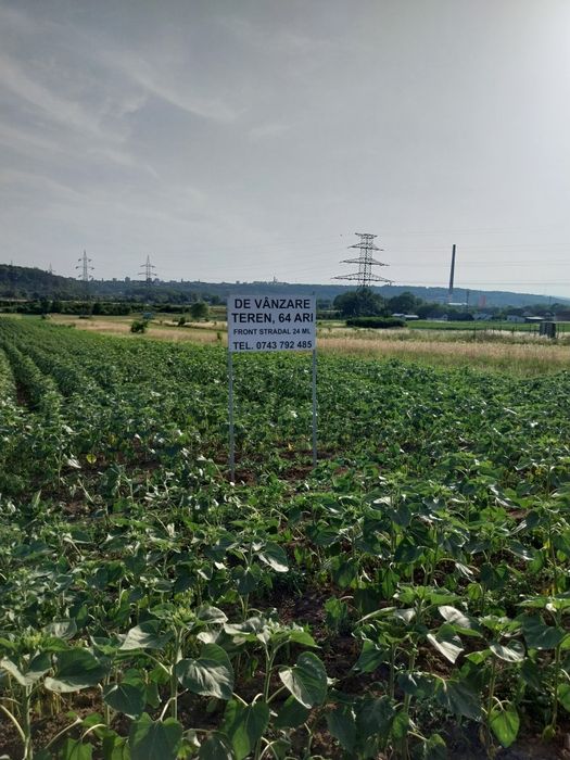 *6400mp*Teren Intravilan.Burdujeni.Suceava.