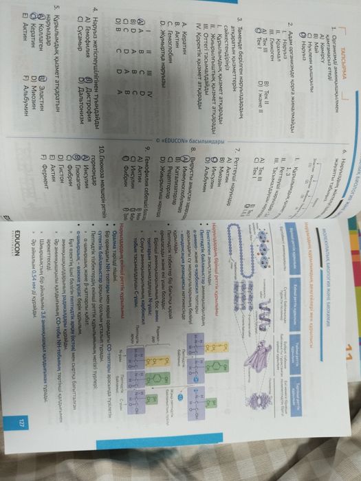 Educon ҰБТ ға дайындық бушный