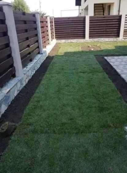 Gazon Verde Tot Anul – Echipa Noastră Asigură Montajul pe Loc