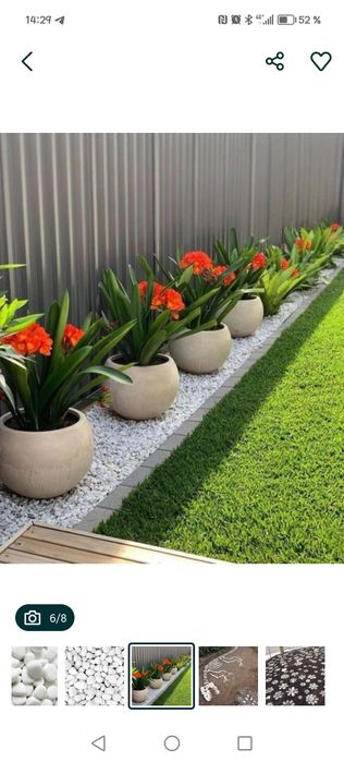 Галька. Белый камень