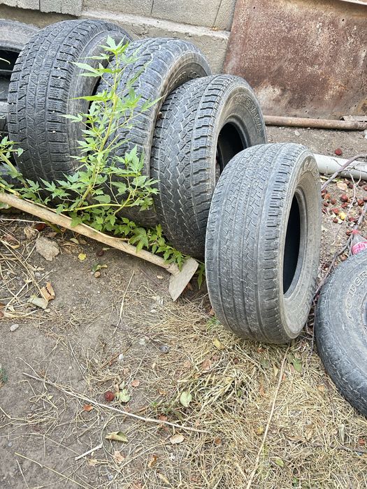 Продажи балона  шины