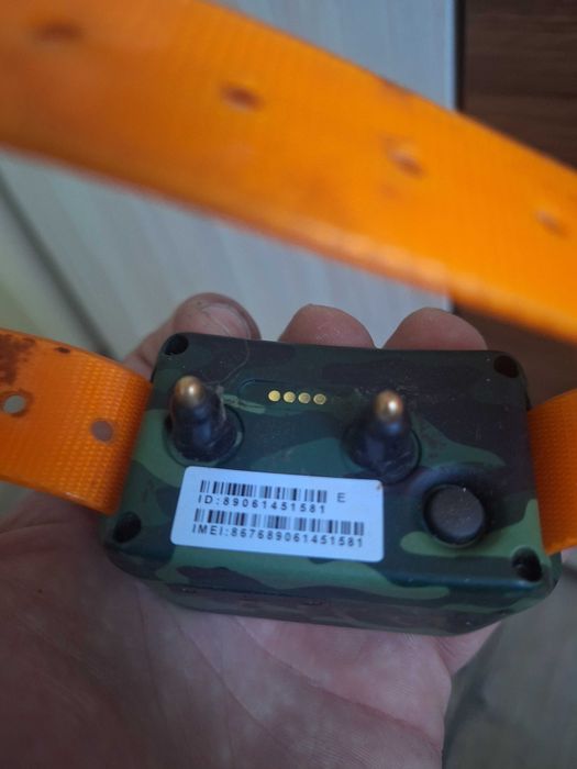 GPS за проследяване и обучение на кучета