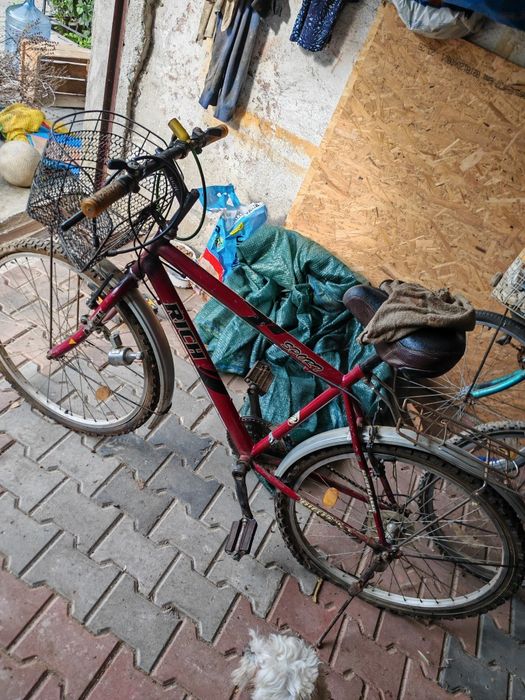 Vând trei biciclete la preț de una