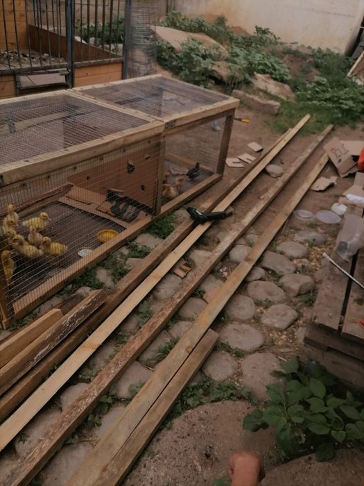 Прогулочные брудеры