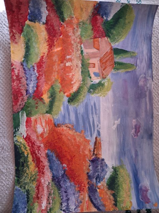 Картины юной художницы.