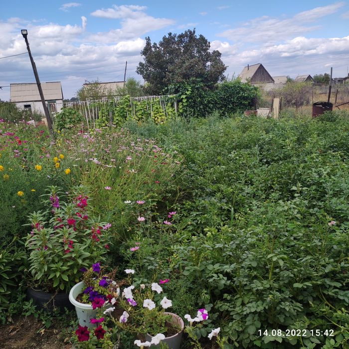 Продам дачу массив Мурат2.