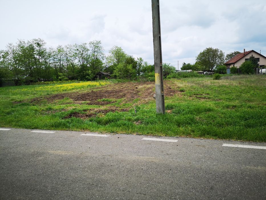 Teren vânzare intravilan Gurbănești județul ilfov