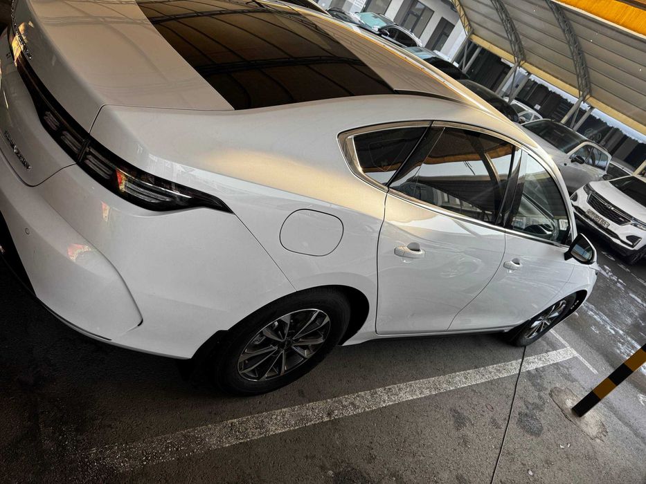 BYD Chazor Dmi 55км 2024й ранги ок