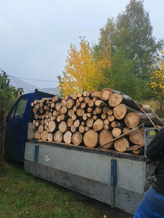 Lemn de foc/ diverse sortimente