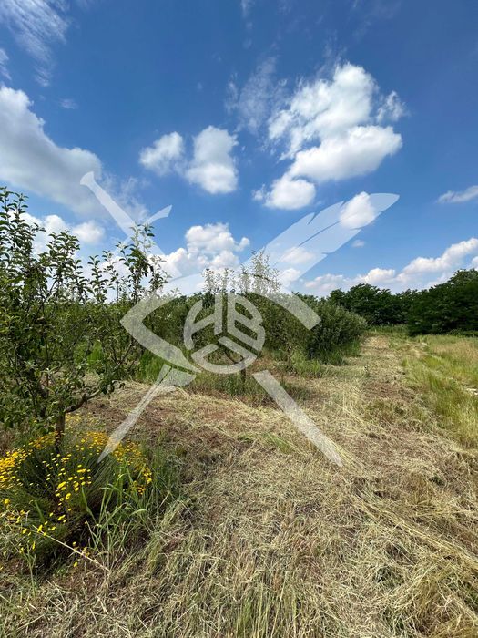 Земеделска земя в Брестовица 45470