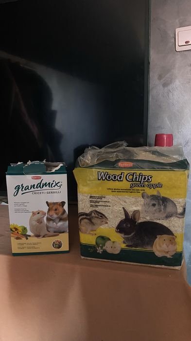 Vând pui de hamster pitic! Cu mancare şi așternut!