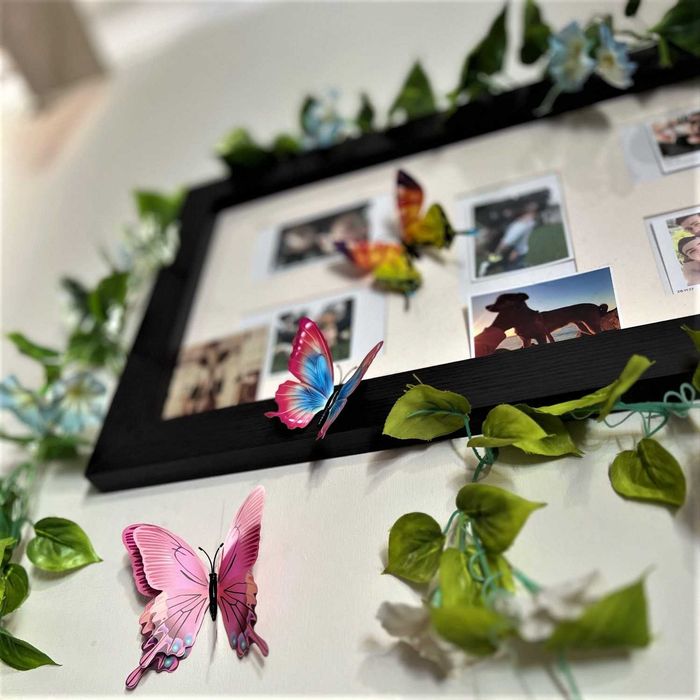 Бабочки для дома