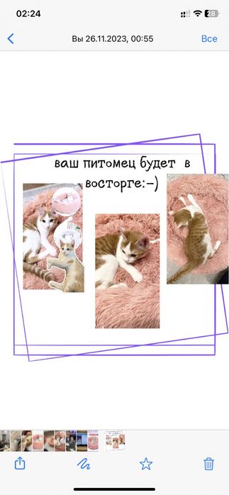 Лежанка для животных 50см 60см