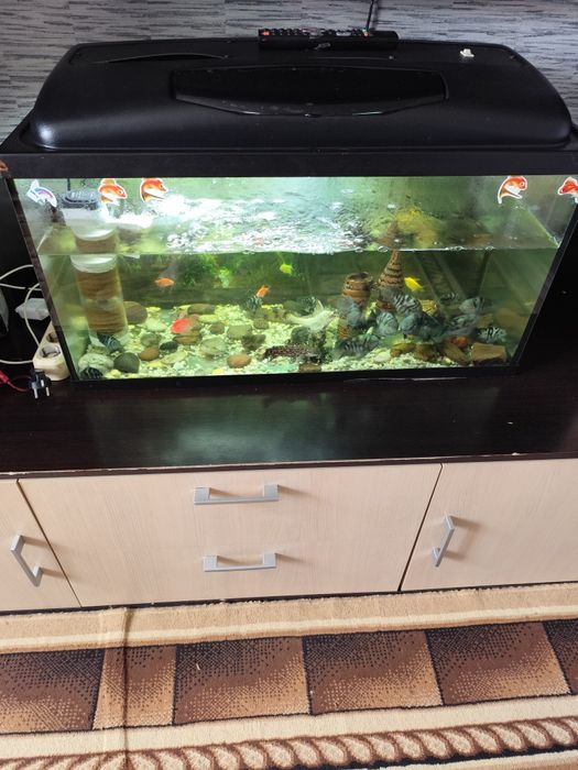 Продам аквариум 100литров с фильтром подсветкой с рыбками