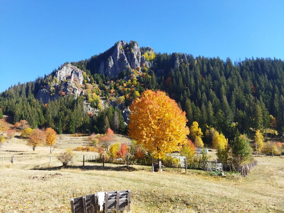 Продава се Парцел в Смолян, Езерово - 3136 кв.м за 35 €/кв.м - Снимка #5