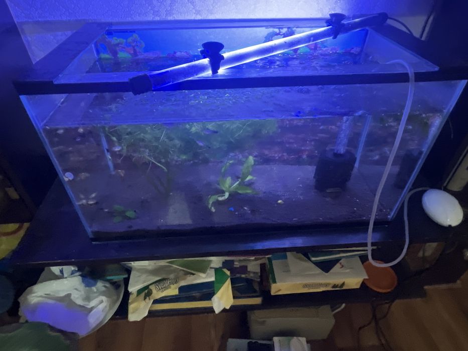 60литровый аквариум продается