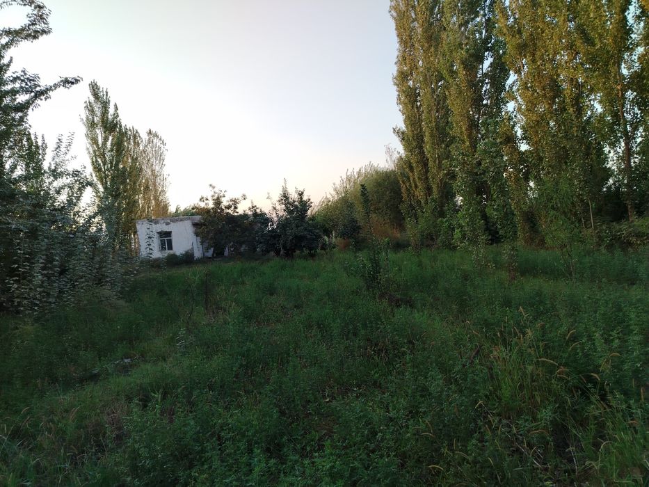 уй жой сотилади Фуркат тумани Пахтаобот кишлоги