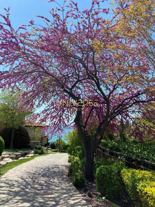 Продава се Едностаен апартамент в Свети Влас - 38 кв.м за 1101 €/кв.м - Снимка #12