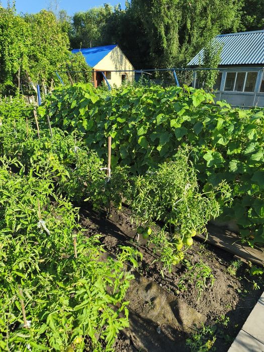 Продам дачу 131 км