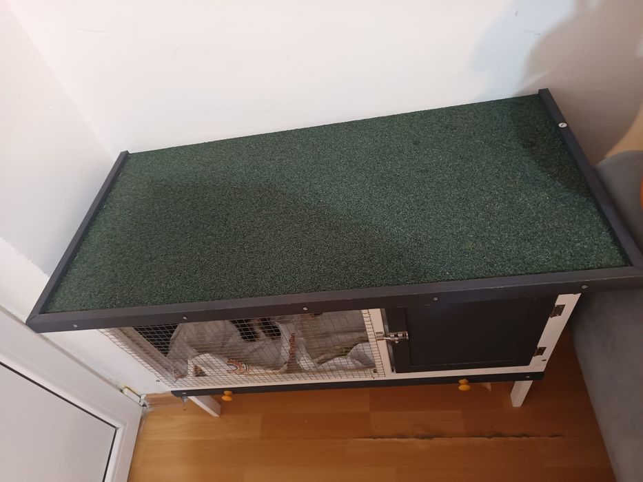 Vând cușcă cu iepure micul olandez