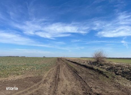 Cota 1/2 teren extravilan. Loc. Dor Marunt, Jud. Calarasi