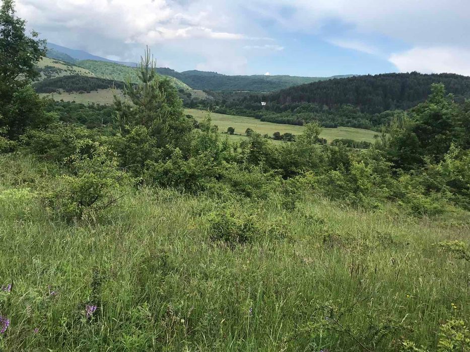 Продава се Земеделски имот в с. Боснек, Област Перник -  кв.м за 2000 €/дка - Снимка #2