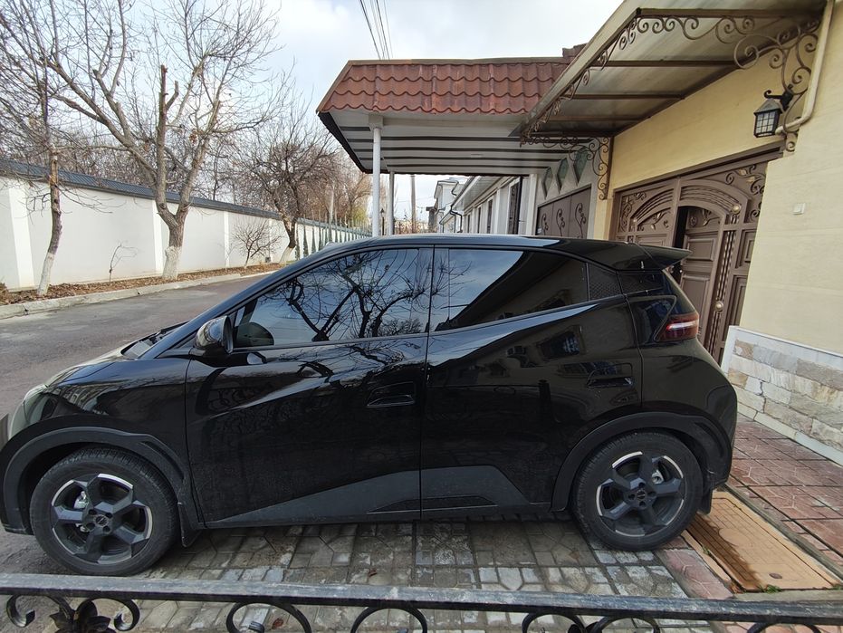 Byd seagull Flying 405 km Сигал фул