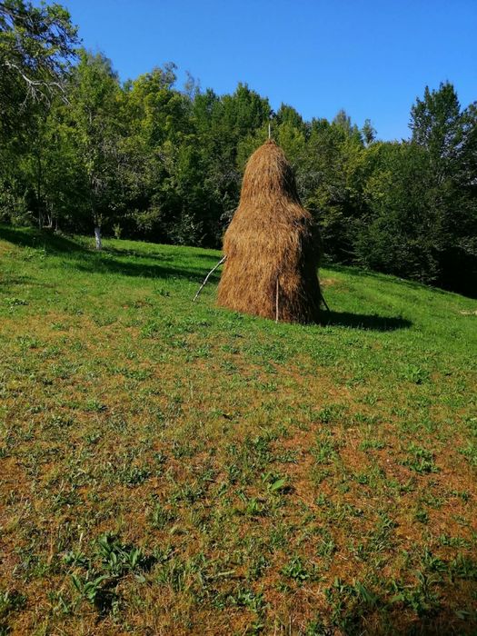 Vând fân cosit anul acesta