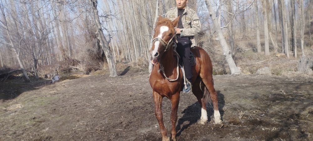 От сотилади зудлик Билан