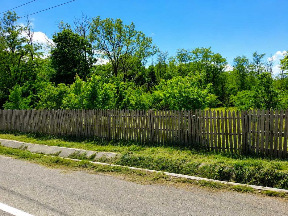 Teren intravilan 1.570 mp Băbana, Argeș – acces asfalt, zonă liniștită