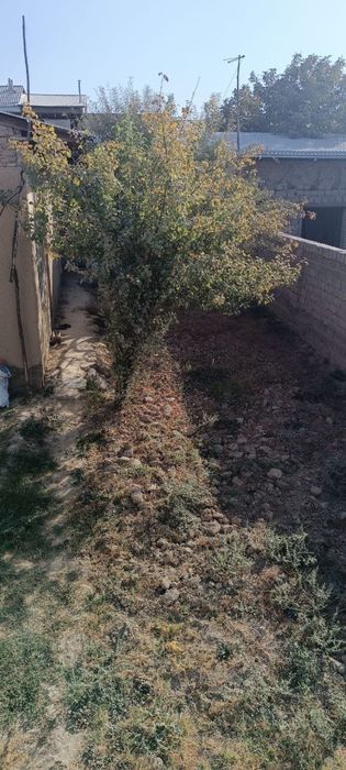 Nzarbekda yer sotiladi