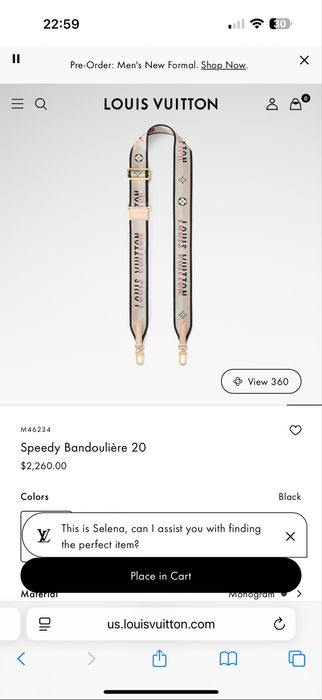 Сумка LV Louis Vuitton Speedy 20